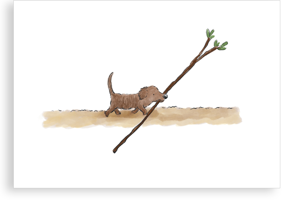 Greetings card - Puppy’s best stick